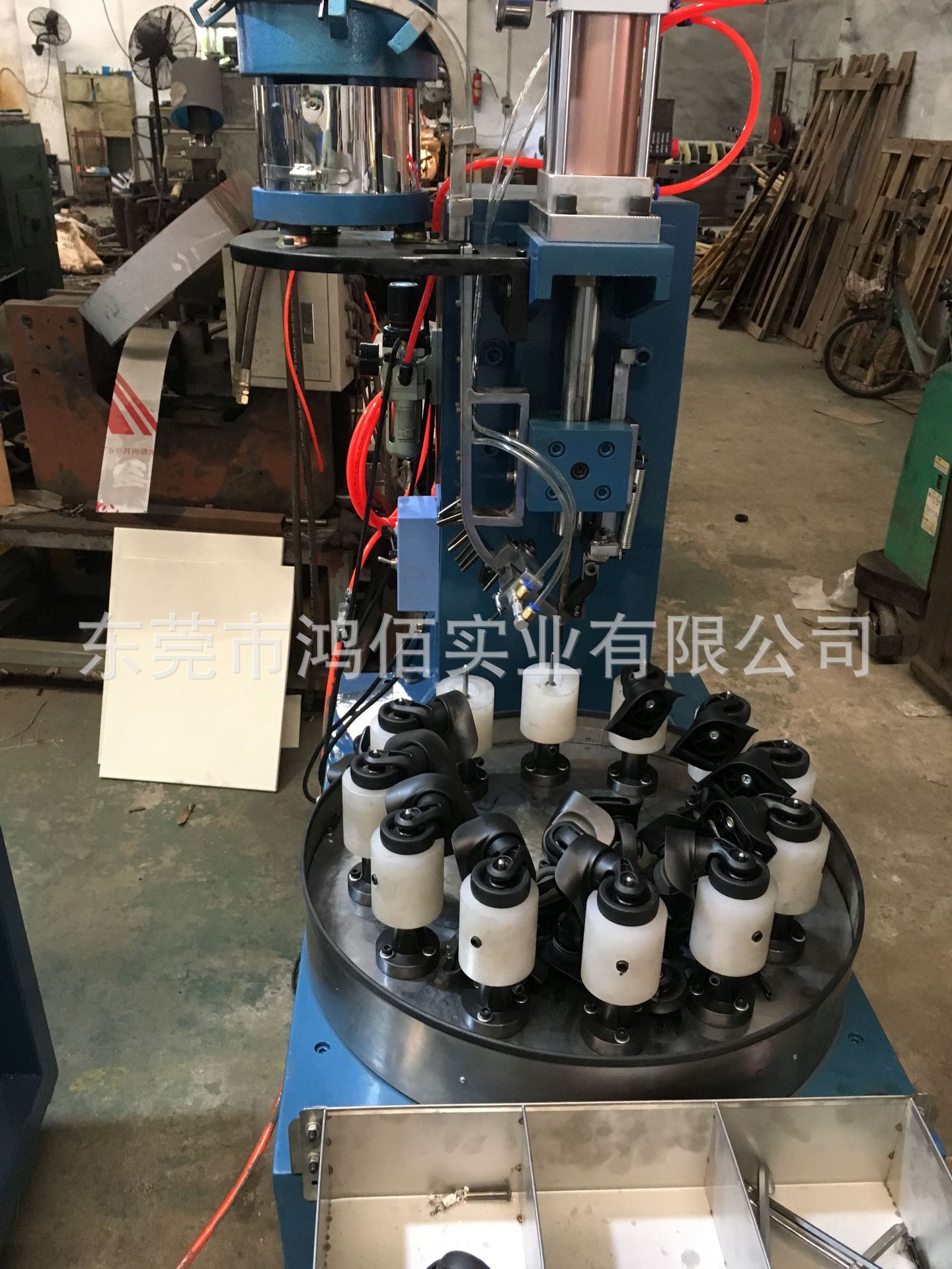 8178974462_621468708.jpg 8178974462_621468708.jpg